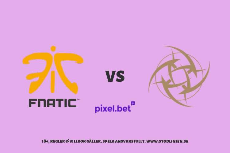 Fnatic vs NiP – DreamHack Masters Malmö 2019