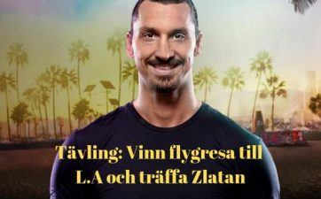 zlatan-bethard-tavling